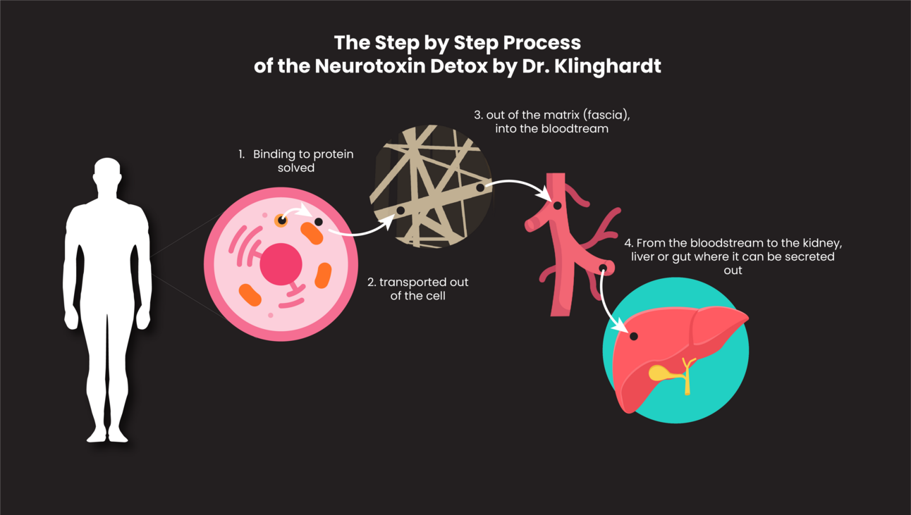 Getting Rid of the Neurotoxins: Detoxification & Regeneration Protocol